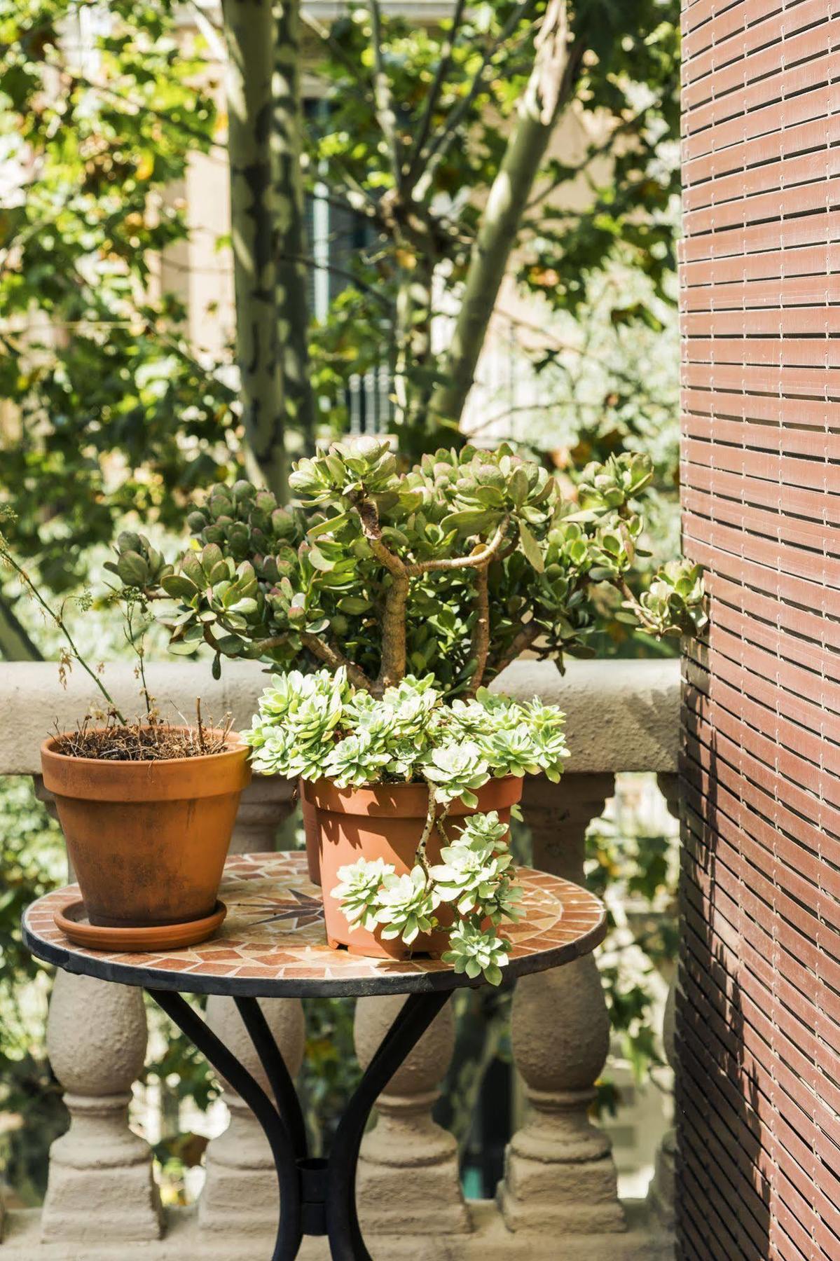 La Casa Gran B&B Barcelona Ngoại thất bức ảnh